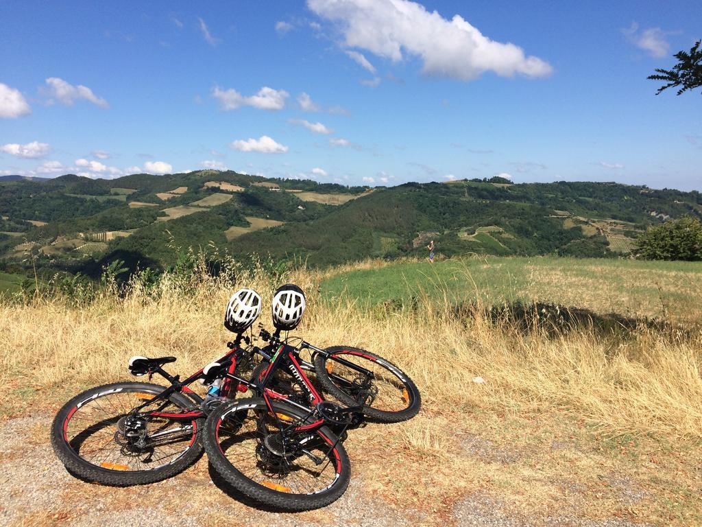 Brisighella Green Wellness エクステリア 写真